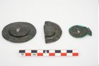 Foto von Bronzephalere (NHMW-PRAE-025642)